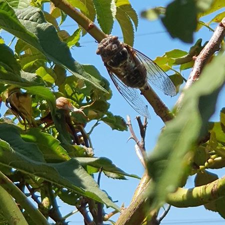 Gite " La Petite Compsoise " Comps  Dış mekan fotoğraf